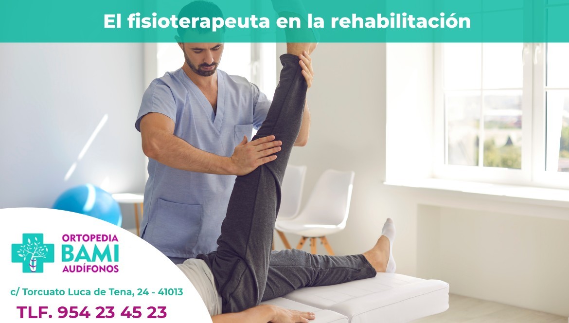 El Papel Del Fisioterapeuta En La Rehabilitación Y El Bienestar ...